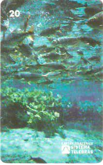 MS-006M - Aquário Natural