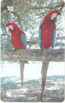 MS-009M - Arara Vermelha - B2