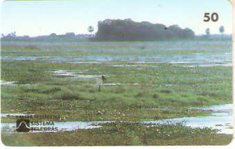 MS-013M - Pantanal - C2
