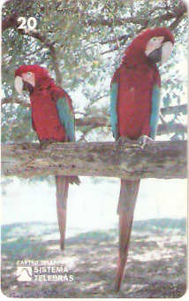 MS-009 - Arara Vermelha - B2