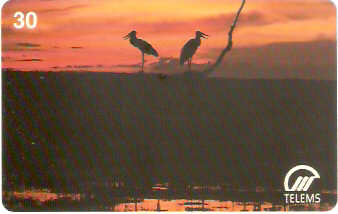 MS-036M - Por-do-Sol no Pantanal