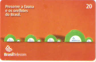 MSC04-38 - Tartaruga