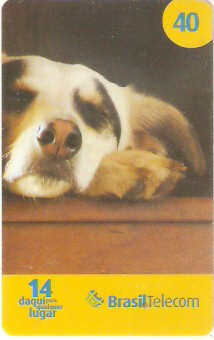 MSC08-17 - Amigo - 6