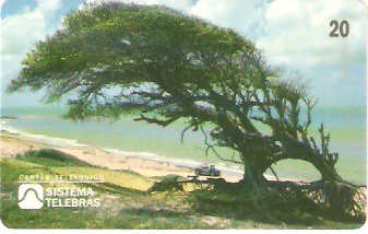 RN-009M - Cabo de São Roque