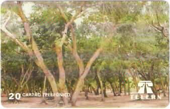 RN-018M - Bosque Parque das Dunas