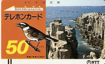 JAP-310-002