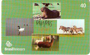PR-579 - Pampa Safari - 01/11