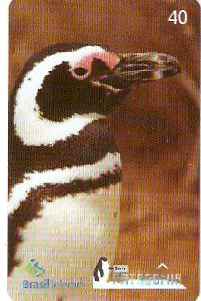PR-607 - Pinguim