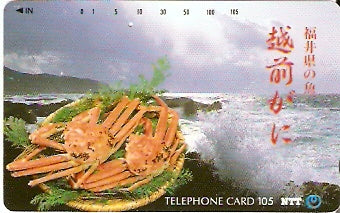 JAP-310-085