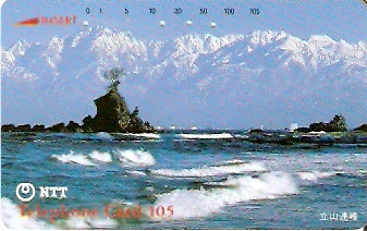 JAP-310-101