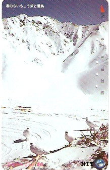 JAP-311-002
