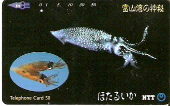 JAP-311-001