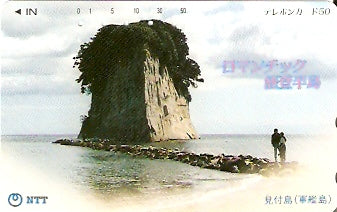 JAP-311-017
