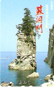 JAP-311-024