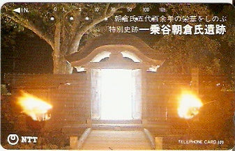 JAP-311-063