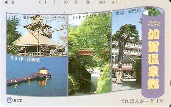JAP-311-110