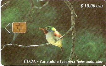 CUB-063 - Cartacuba o Pedorrera