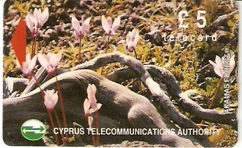 CYP-G-048 - Flores da Floresta 3