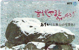 JAP-330-276