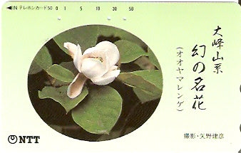 JAP-330-373
