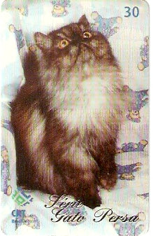RS-0587 - Gato Persa - 5/5