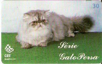 RS-0585 - Gato Persa - 3/5