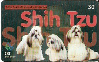 RS-0611 - Cães Pêlo Longo - 1/5