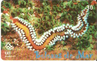 RS-0618 - Belezas do Mar - 03/10