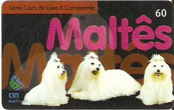 RS-0651 - Cães Pêlo Longo - 2/5