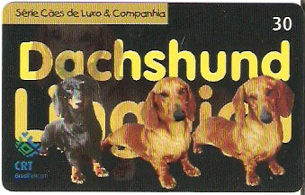 RS-0655 - Cães Pêlo Curto - 3/5