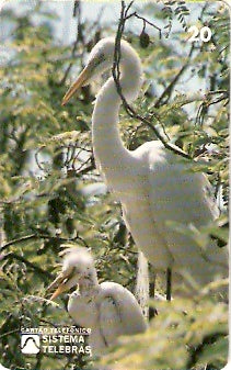 RJ-0089 - Meio Ambiente - B2 - 4/6