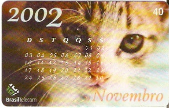 RS-0771 - Calendário - 11/12
