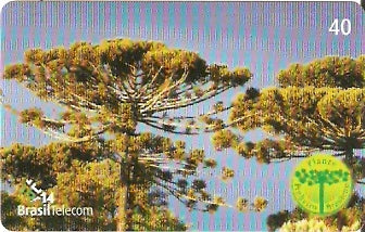 RS-0783 - Pinheiro - 3/5