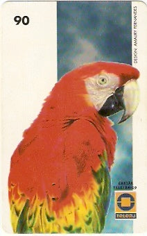 RJ-0665 - Aves - 03/10