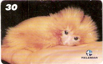 RJ-1016 - Baby Zoo - 6/8