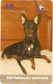 RJ-1197M - Doberman Pinscher