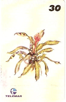 RJ-1210 - Ilustrações Botânicas - 01/16