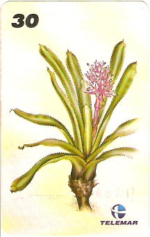 RJ-1214 - Ilustrações Botânicas - 05/16