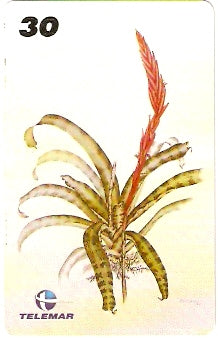 RJ-1215 - Ilustrações Botânicas - 06/16