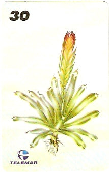 RJ-1216 - Ilustrações Botânicas - 07/16