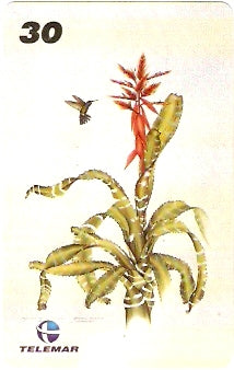 RJ-1217 - Ilustrações Botânicas - 08/16