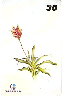 RJ-1218 - Ilustrações Botânicas - 09/16