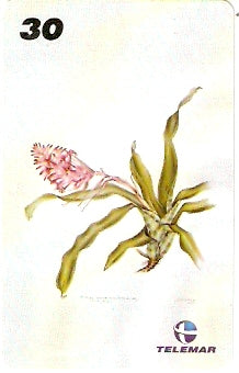 RJ-1219 - Ilustrações Botânicas - 10/16