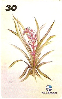 RJ-1220 - Ilustrações Botânicas - 11/16