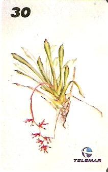 RJ-1221 - Ilustrações Botânicas - 12/16