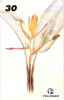 RJ-1222 - Ilustrações Botânicas - 13/16