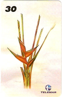 RJ-1223 - Ilustrações Botânicas - 14/16