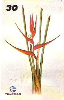 RJ-1224 - Ilustrações Botânicas - 15/16