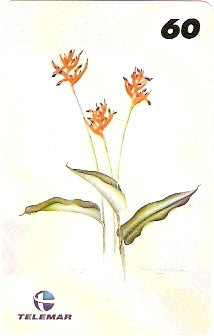 RJ-1225 - Ilustrações Botânicas - 16/16