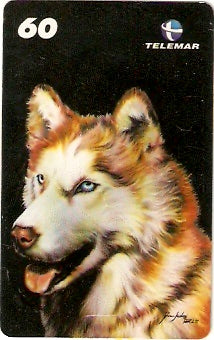 RJ-1338 - Diana Santos - 07